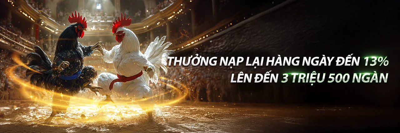 Hướng dẫn chơi casino